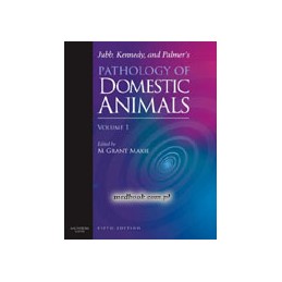 Jubb, Kennedy & Palmer's...