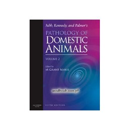 Jubb, Kennedy & Palmer's...