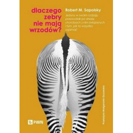 Dlaczego zebry nie mają wrzodów?