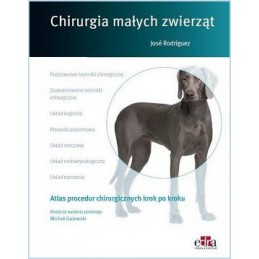 Chirurgia małych zwierząt