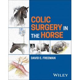 Colic Surgery in the Horse