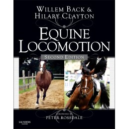 Equine Locomotion