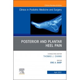 Posterior and Plantar Heel...