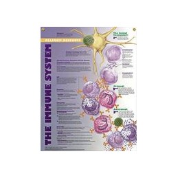 The Immune System: Allergic...