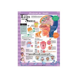 Blueprint for Health Your...