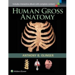 Human Gross Anatomy