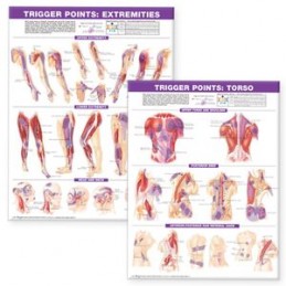 Trigger Point Chart Set:...