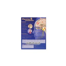 Migraines and Headaches...