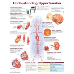 Understanding Hypertension...