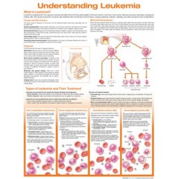 Understanding Leukemia Anatomical Chart