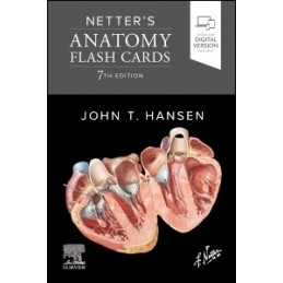 Netter's Anatomy Flash Cards