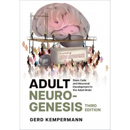 Adult Neurogenesis