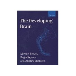 The Developing Brain