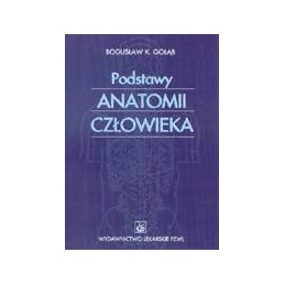 Podstawy anatomii człowieka