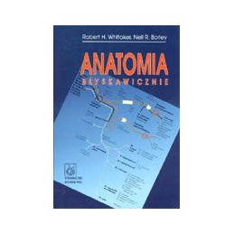 Anatomia błyskawicznie