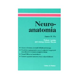 Neuroanatomia