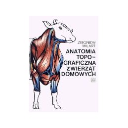 Anatomia topograficzna...