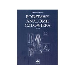 Podstawy anatomii człowieka...