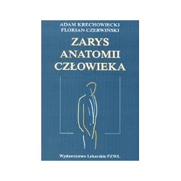 Zarys anatomii człowieka