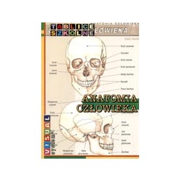 Anatomia człowieka -...