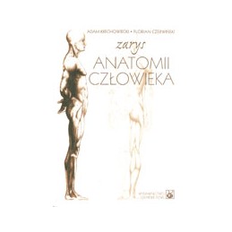 Zarys anatomii człowieka