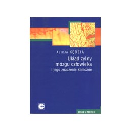 Układ żylny mózgu człowieka...