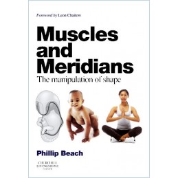 Muscles and Meridians