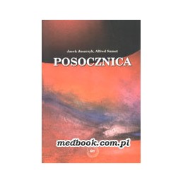 Posocznica