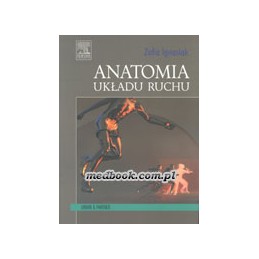 Anatomia układu ruchu