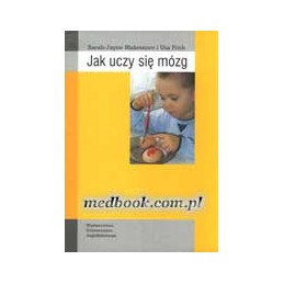 Jak uczy się mózg