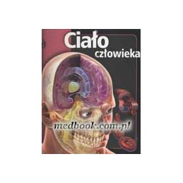 Ciało człowieka z bliska
