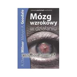 Mózg wzrokowy w działaniu