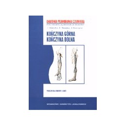 Anatomia prawidłowa...