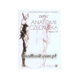 Zarys anatomii człowieka