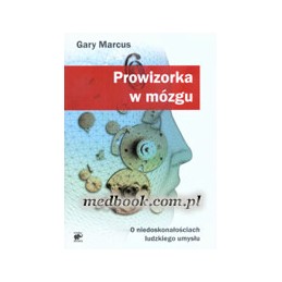 Prowizorka w mózgu