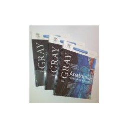 Gray Anatomia. Podręcznik...