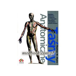 Taśmy anatomiczne