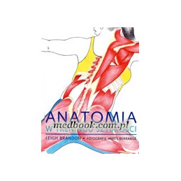 Anatomia w treningu szybkości