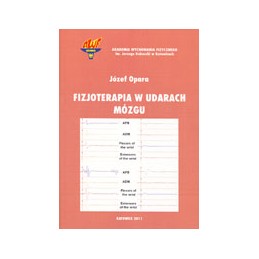 Fizjoterapia w udarach mózgu