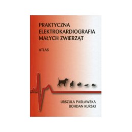 Praktyczna...