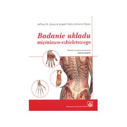 Badanie układu...