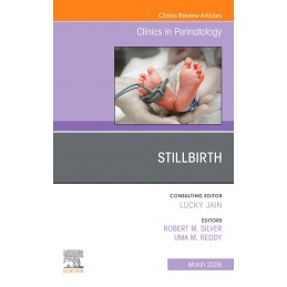 Stilbirth, An Issue of...