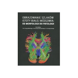 Obrazowanie szlaków istoty...