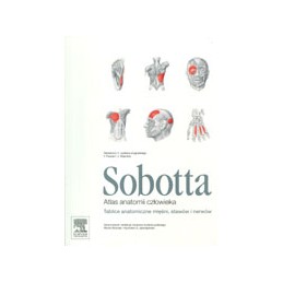 Atlas anatomii człowieka...