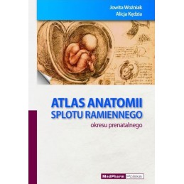 Atlas anatomii splotu...