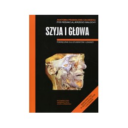 Anatomia prawidłowa człowieka - szyja i głowa