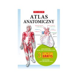 Atlas anatomiczny