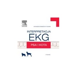 Interpretacja EKG psa i kota