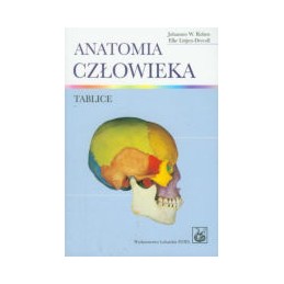Anatomia człowieka - tablice