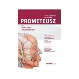 PROMETEUSZ Atlas anatomii...